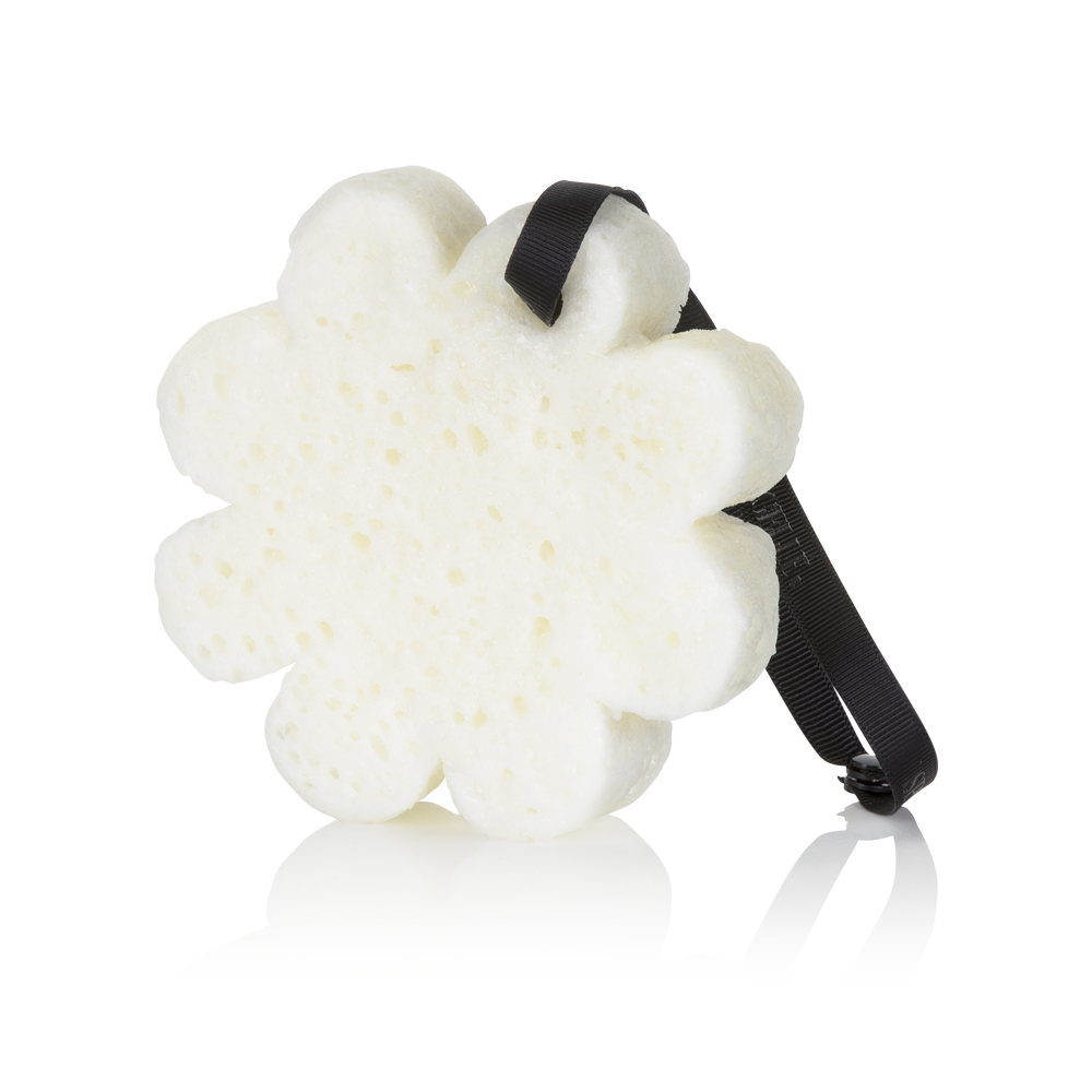 Spongelle Sugar Dahlia Boxed Flower Sponge