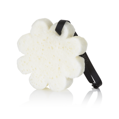 Spongelle Sugar Dahlia Boxed Flower Sponge
